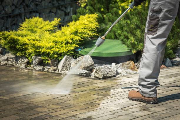Trusted Ignacio, CO Pressure Washing Services Experts